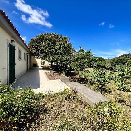 La Striscia Larga Bed & Breakfast San Pasquale Eksteriør bilde
