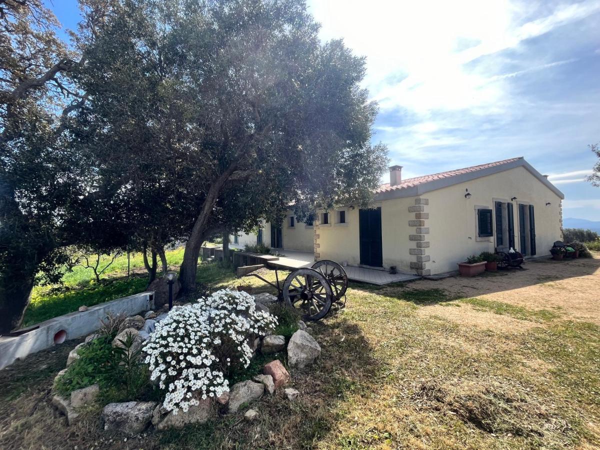 La Striscia Larga Bed & Breakfast San Pasquale Eksteriør bilde