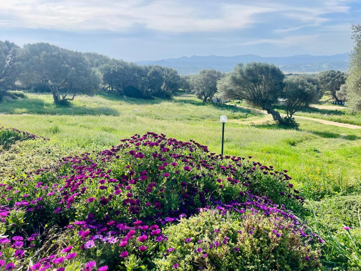 La Striscia Larga Bed & Breakfast San Pasquale Eksteriør bilde